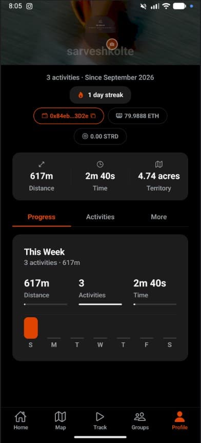 Profile showing weekly distance, time, and territory stats